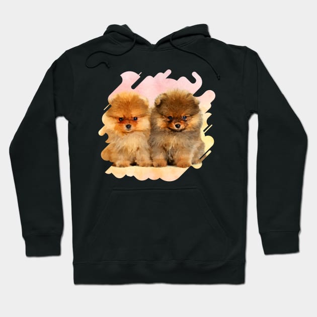 Cute Pomeranian German Spitz  Puppies Hoodie by Nartissima